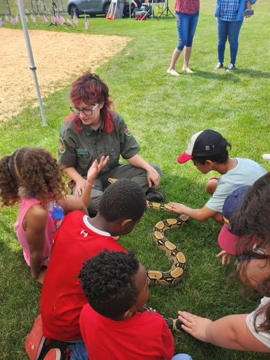 Gallery photo 7 of Rainforest Reptile Shows