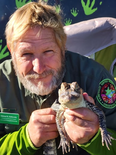 Gallery photo 8 of Rainforest Reptile Shows