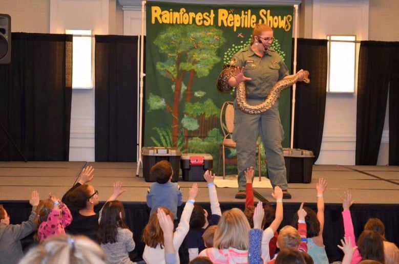 Gallery photo 10 of Rainforest Reptile Shows