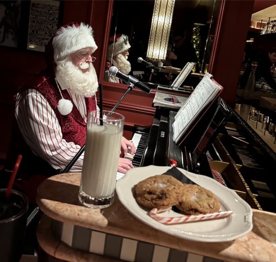 Gallery photo 7 of The Singing Santa