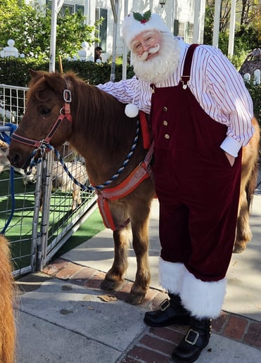 Gallery photo 8 of The Singing Santa