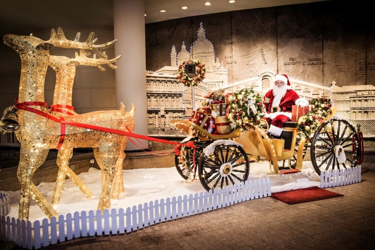 Gallery photo 10 of Randy's Santaland