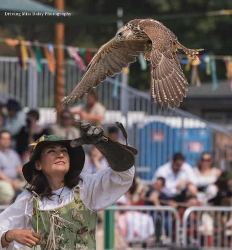 Gallery photo 5 of Raptor Events