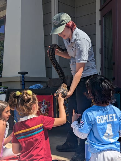 Gallery photo 2 of Raptor Events
