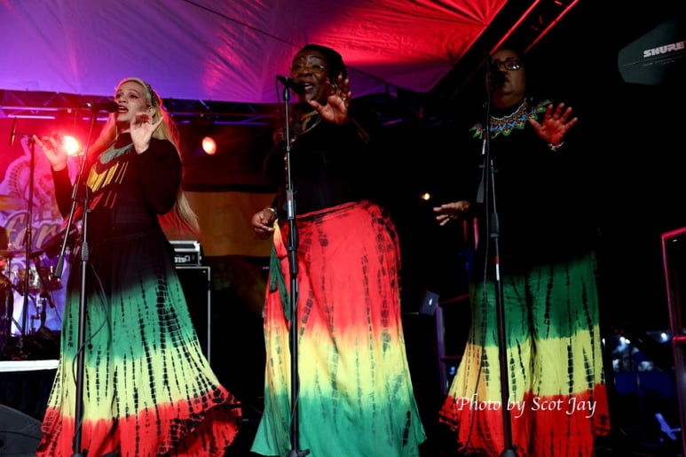 Gallery photo 3 of Ras Mista Fyah