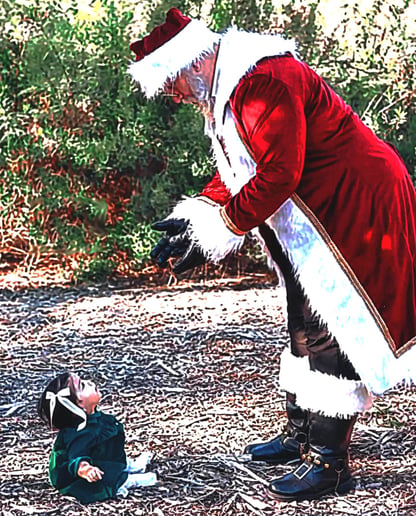 Gallery photo 3 of Santa Ray (Ray Buffer)