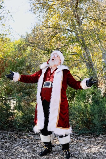 Gallery photo 4 of Santa Ray (Ray Buffer)