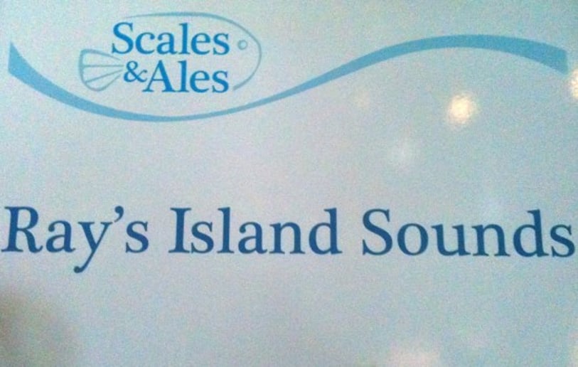 Gallery photo 10 of Ray's Island Sounds