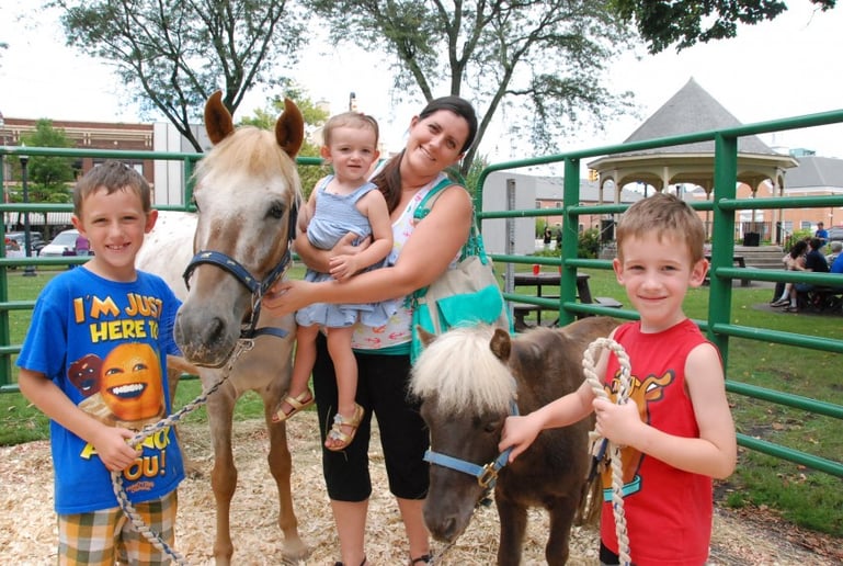 Gallery photo 5 of Clover Pony Farm