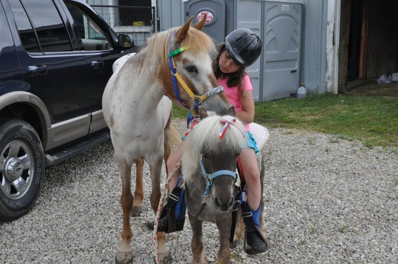 Gallery photo 6 of Clover Pony Farm
