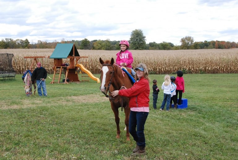 Gallery photo 8 of Clover Pony Farm