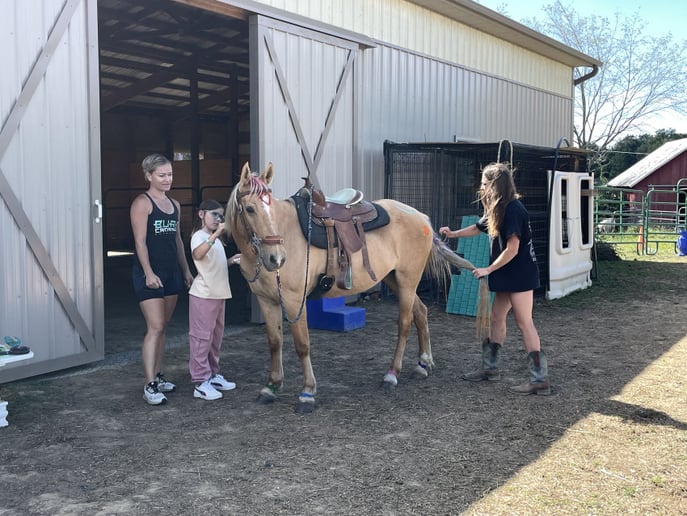 Gallery photo 9 of Clover Pony Farm