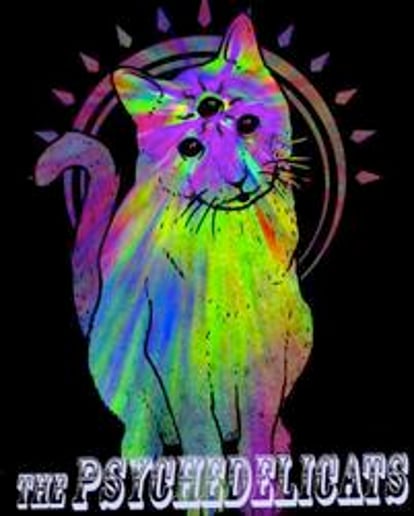 Gallery photo 7 of The Psychedelicats