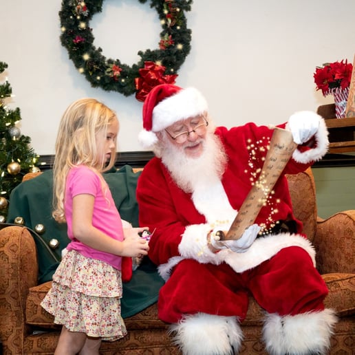 Gallery photo 4 of Real-Bearded Professional Santa Claus