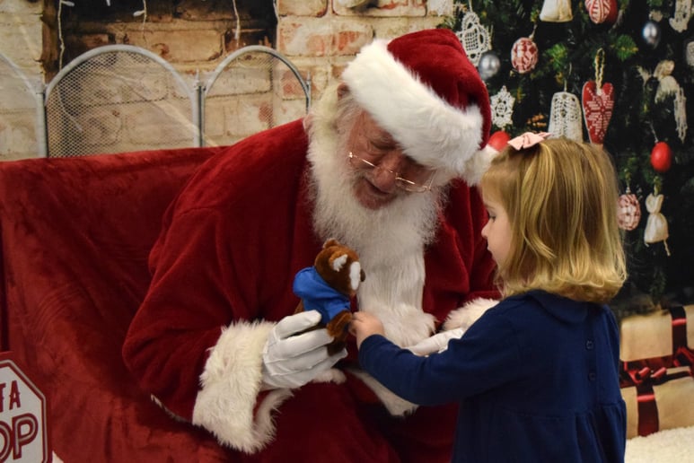 Gallery photo 9 of Real-Bearded Professional Santa Claus