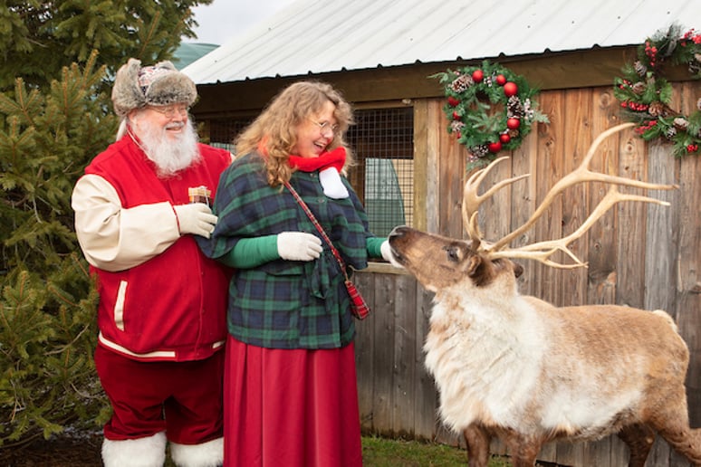 Gallery photo 1 of Real Beard and Belly Santa