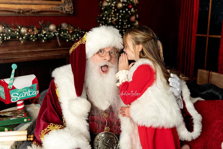 Gallery photo 3 of Real Beard Santa Claus
