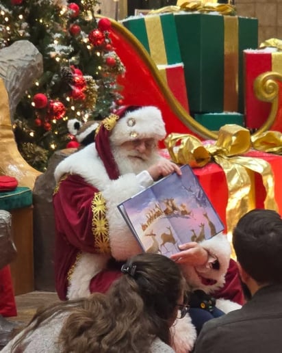 Gallery photo 8 of Real Beard Santa Claus