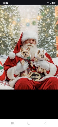 Gallery photo 1 of Real Beard Santa John