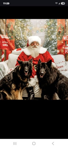 Gallery photo 3 of Real Beard Santa John
