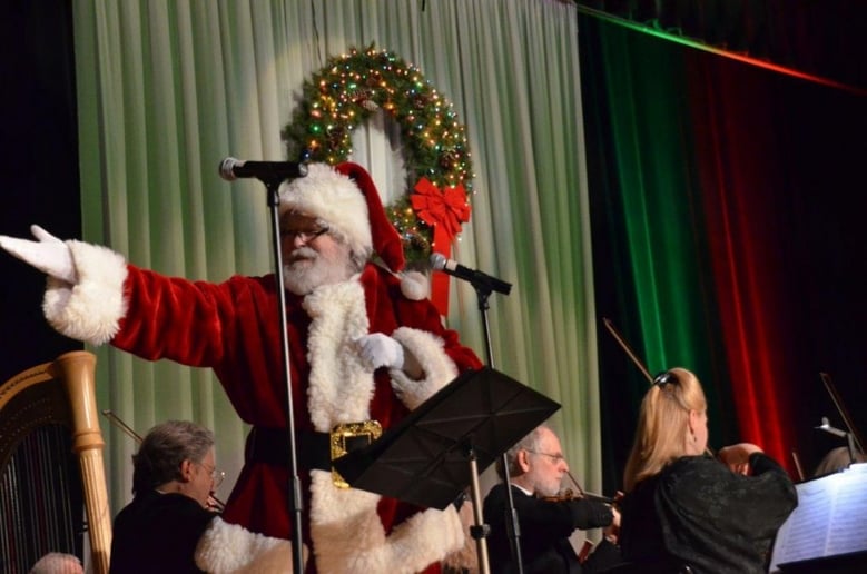 Gallery photo 3 of Real Beard Santa Joe