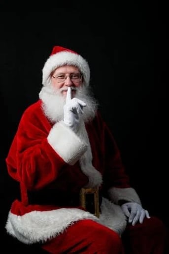 Gallery photo 1 of Real Beard Santa Mark