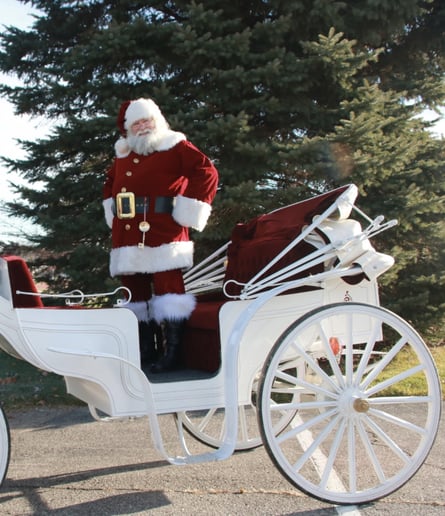 Gallery photo 7 of Real Bearded Santa and Mrs. Clause