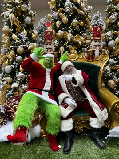 Gallery photo 1 of Real Bearded Santa Claus Philip