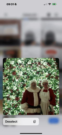 Gallery photo 8 of Real Bearded Santa Claus Philip