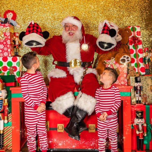 Gallery photo 3 of Real bearded Santa