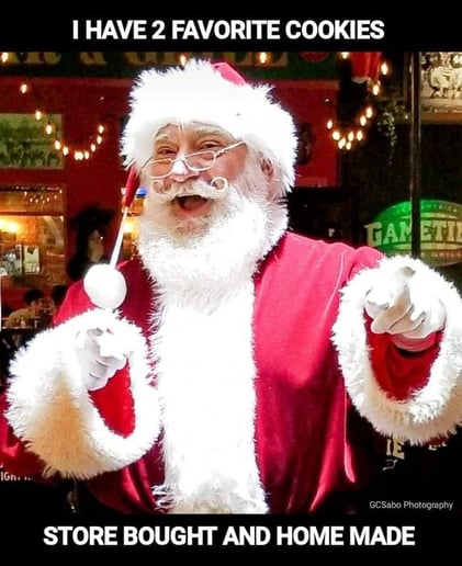 Gallery photo 5 of Real bearded Santa