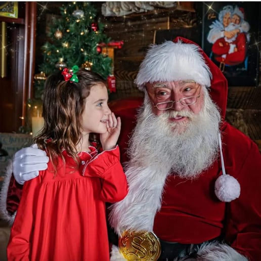 Gallery photo 7 of Real bearded Santa