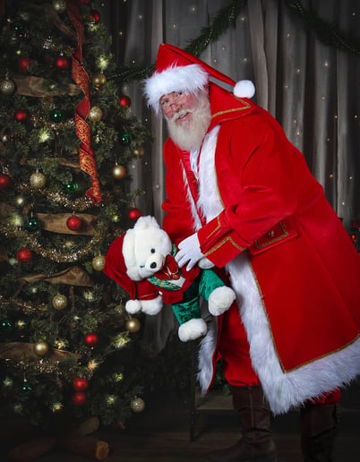 Gallery photo 2 of Real Santa Visits