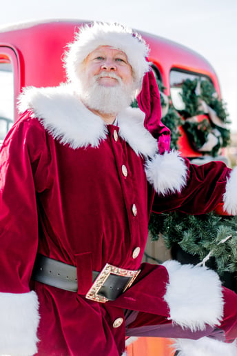 Gallery photo 1 of Realistic Santa Rip