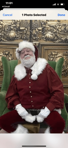 Gallery photo 6 of Realistic Santa Rip