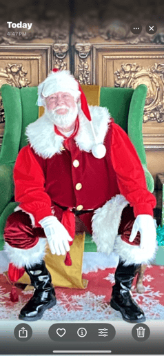 Gallery photo 8 of Realistic Santa Rip