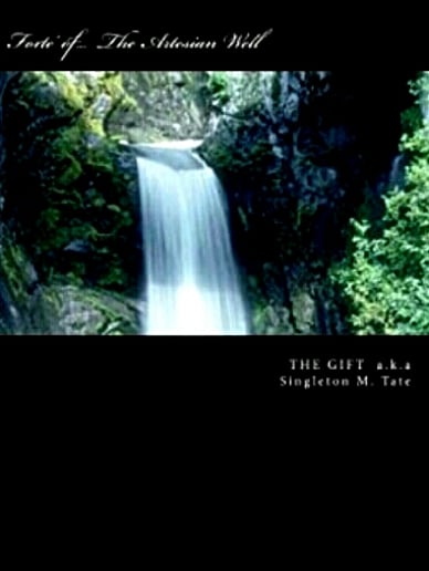 Gallery photo 3 of "Out of The Box" The S.M.T. Factor "Reality Forte"™