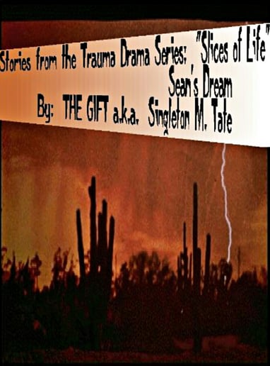 Gallery photo 4 of "Out of The Box" The S.M.T. Factor "Reality Forte"™