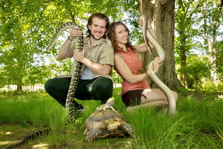 Gallery photo 8 of Realm of the Reptile
