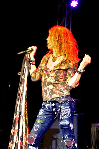 Gallery photo 2 of Classic Rock Rebels
