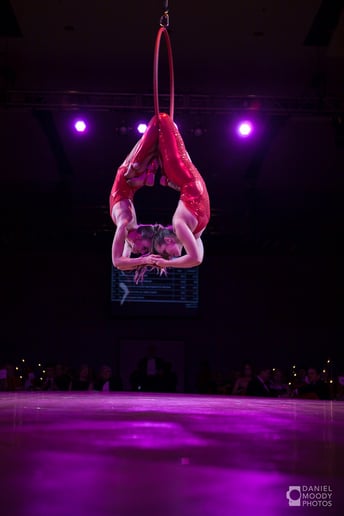 Gallery photo 33 of Arkansas Circus Arts