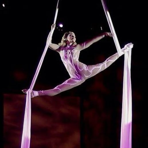 Gallery photo 40 of Arkansas Circus Arts