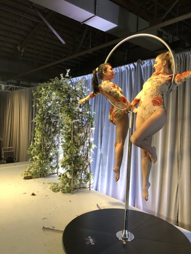 Gallery photo 30 of Arkansas Circus Arts