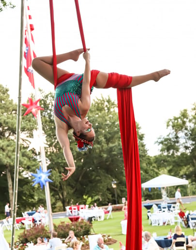 Gallery photo 7 of Arkansas Circus Arts