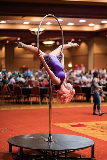 Gallery photo 55 of Arkansas Circus Arts