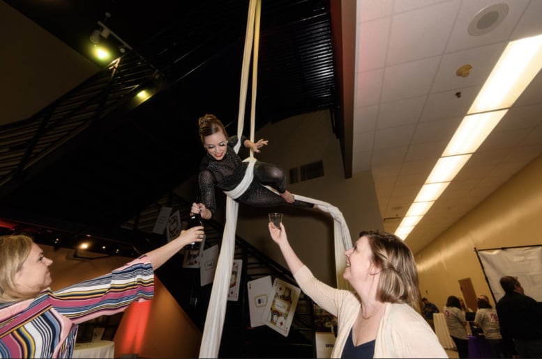 Gallery photo 51 of Arkansas Circus Arts