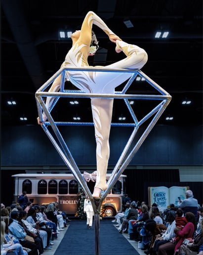Gallery photo 8 of Arkansas Circus Arts