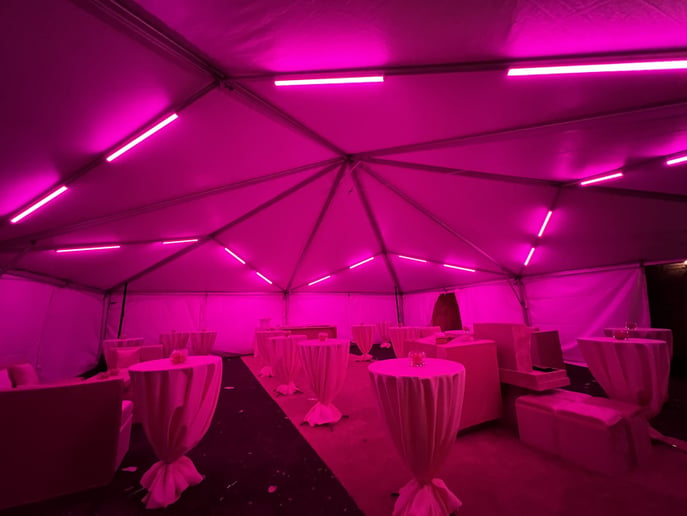 Gallery photo 7 of Red Hook Entertainment