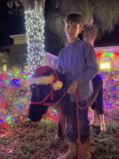 Gallery photo 2 of Red River Pony Parties & Events