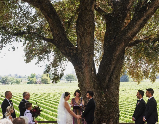 Gallery photo 4 of Redwood Rose Photography